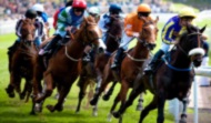 Horse Race Betting